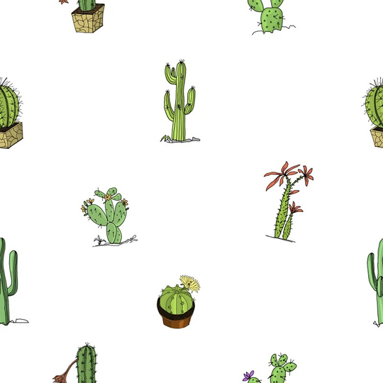 Walllpaper Roll 208X146cm Mural Decoration Wallpaper Material With Print Kitchen Livingroom Bedroom - Cute Cactus Pots Different Types Of Cacti