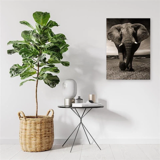 Canvas Print Africa Elephant Black And White