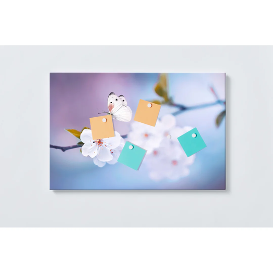 Butterfly Magnetic Wall Mounted Cork Board