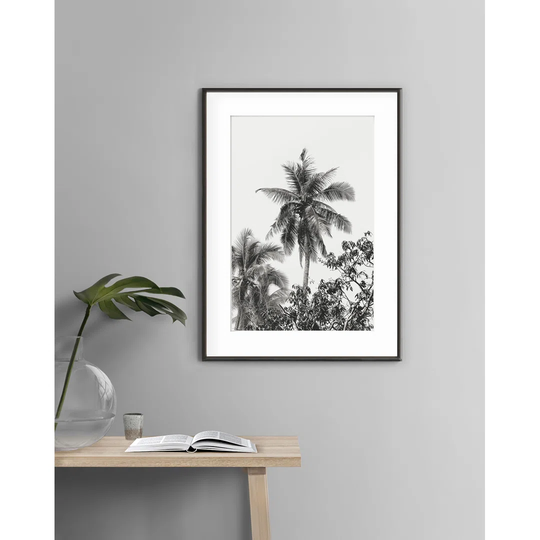 Tropiques N&B - Picture Frame Photograph Print on Paper