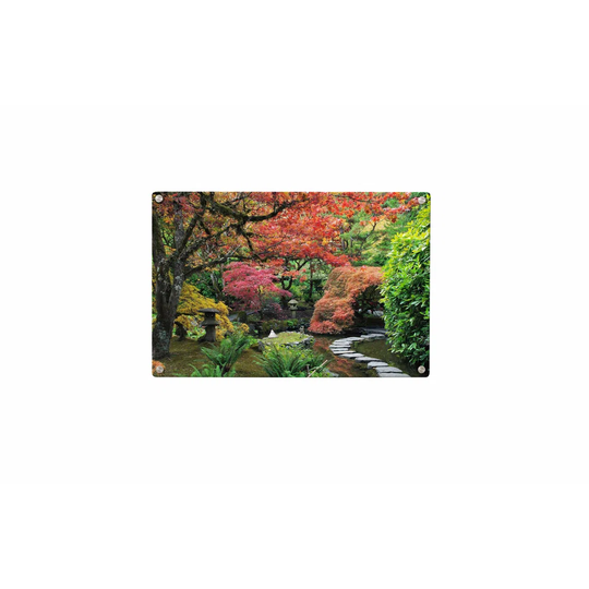 Park Magnetic Wall Mounted Photo Memo Board