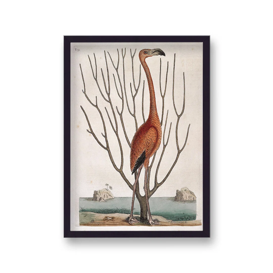 The Lone Flamingo by Vouvart - Picture Frame Graphic Art