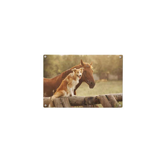 Horse Dog Magnetic Wall Mounted Photo Memo Board