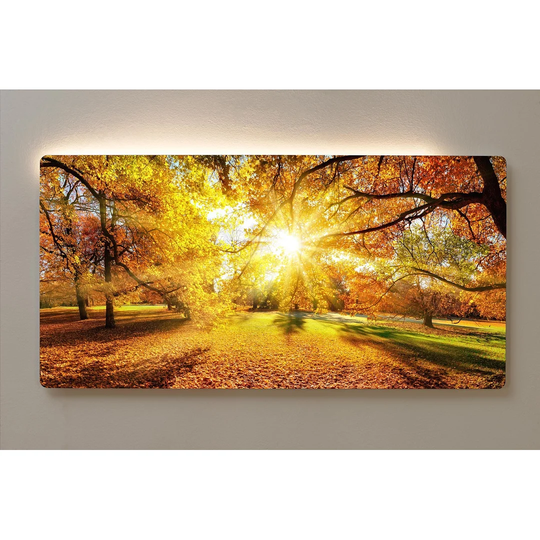 Backlight Motif Mural City Park Magnetic Cork Board