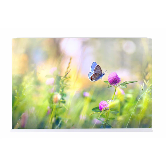 Flower Meadow Magnetic Wall Mounted Photo Memo Board