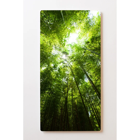 Backlight Motive Wall Picture Forest Trees Magnetic Cork Board