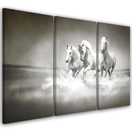Canvas Print Gallop Of The White Horses