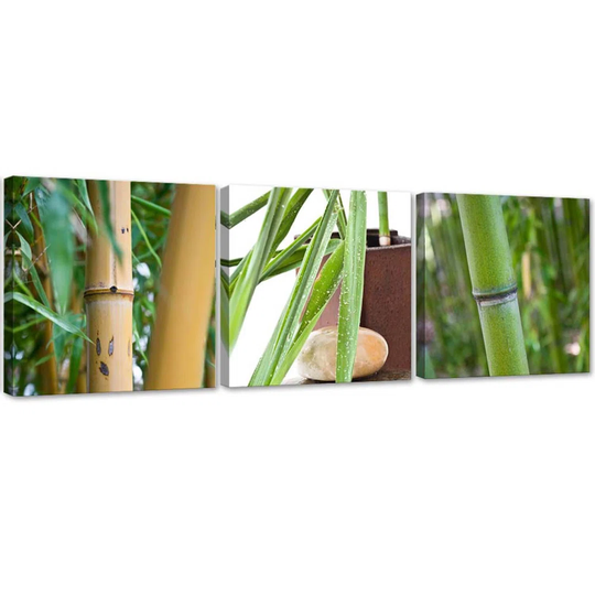 Canvas Print Bamboo Zen Spa