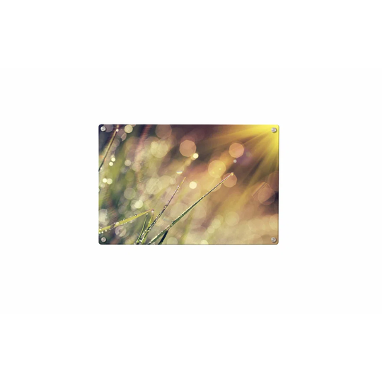 Morning Dew Magnetic Wall Mounted Photo Memo Board