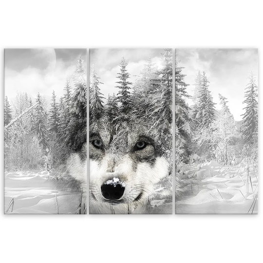 Canvas Print Wolf Forest Nature Grey