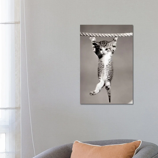 1950s Little Kitten Hanging from Rope Looking at Camera by Vintage Images - Wrapped Canvas Art Prints