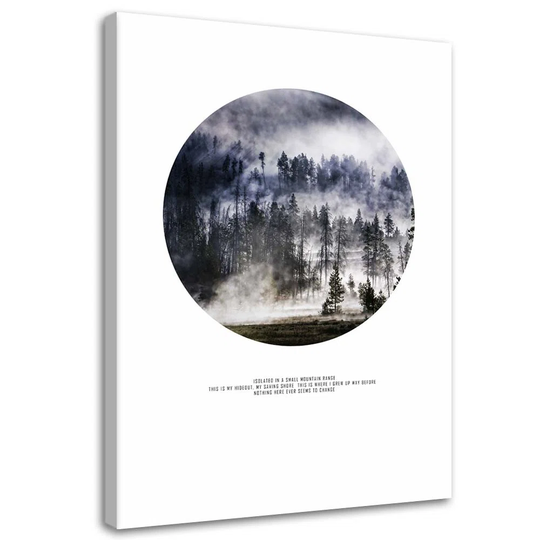 Canvas Print Forest In The Mist