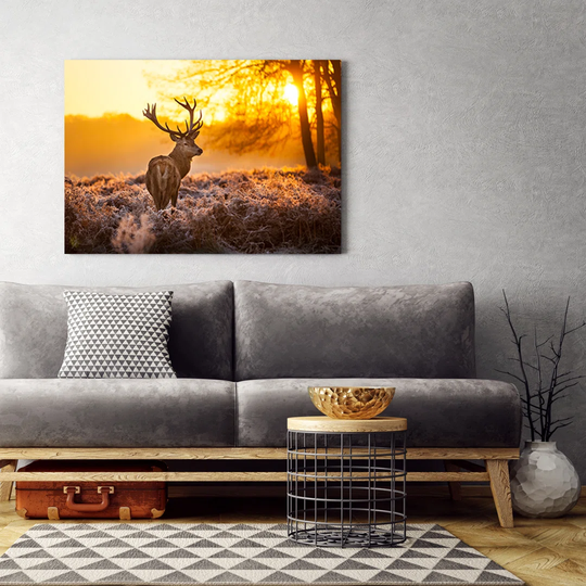 Canvas Print, Orange Animals 16785
