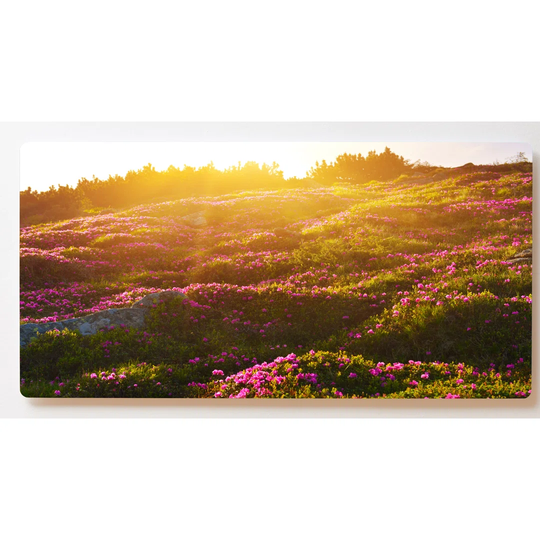 Backlight Motif Wall Picture Meadow Mountains Sunrise Magnetic Cork Board