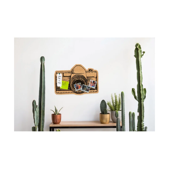 Camera Wall Décor