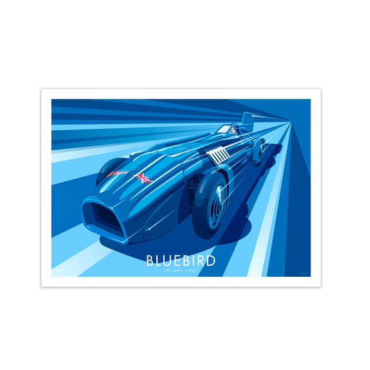 'Bluebird' Graphic Art