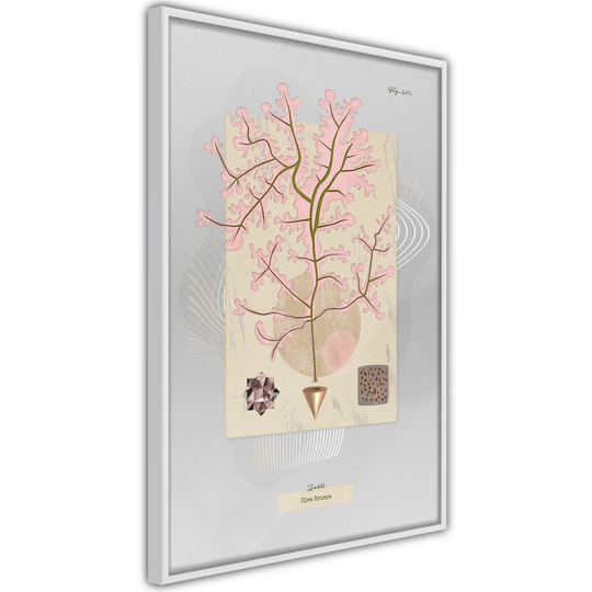 Poster - Seaweed