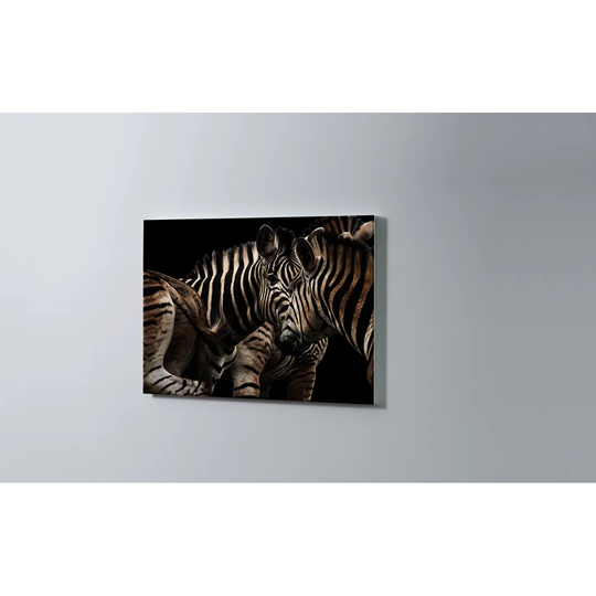 Zebras Magnetic Wall Mounted Cork Board