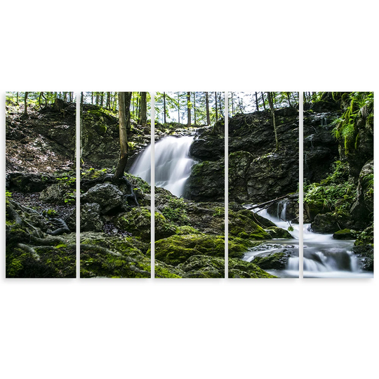 Canvas Print Waterfall Forest Rock