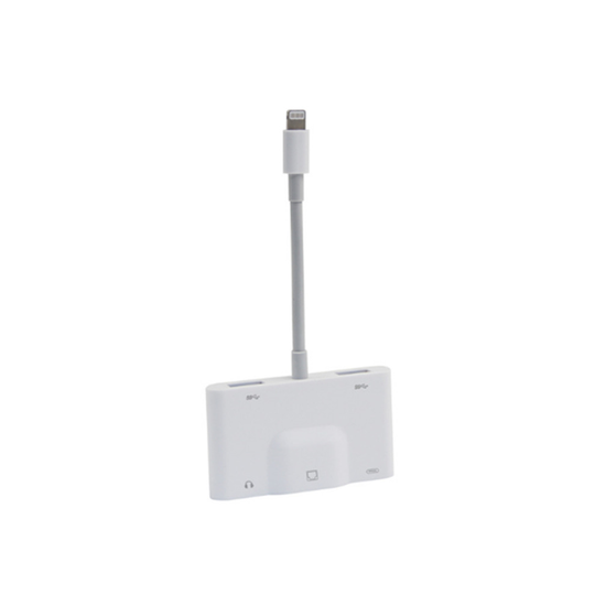 Multifunctional 5 In 1 Lightning To RJ45 Fast Adapter Mobile Ethernet Card Adapter for Apple Mobile