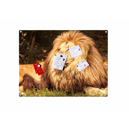 Lion Magnetic Wall Mounted Photo Memo Board