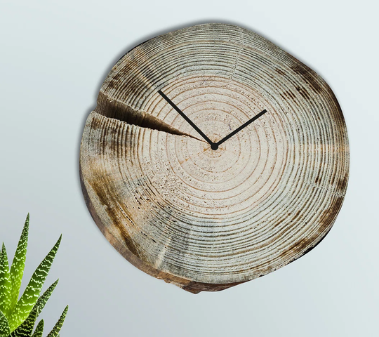 Tree Trunk Maya 30cm Analogue Wall Clock