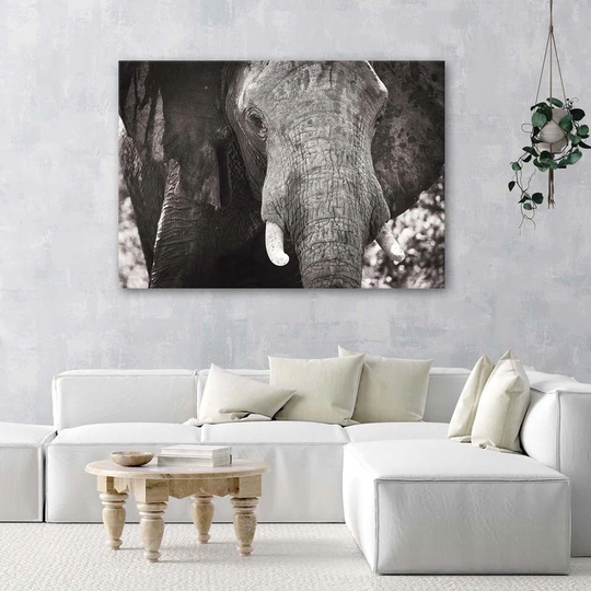 Canvas Print Elephant Africa Black And White