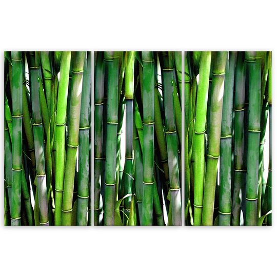 Canvas Print Bamboo Forest Natura Green