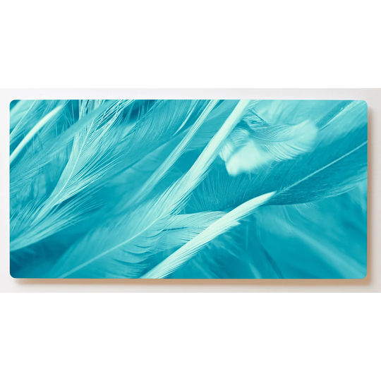 Backlight Motif Wall Picture Feathers Art Magnetic Cork Board