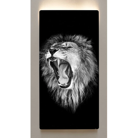 Backlight wall art M109 black and white metal motif picture 60 x 120cm magnetic board