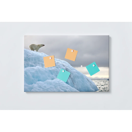 Polar Bear Magnetic Wall Mounted Cork Board
