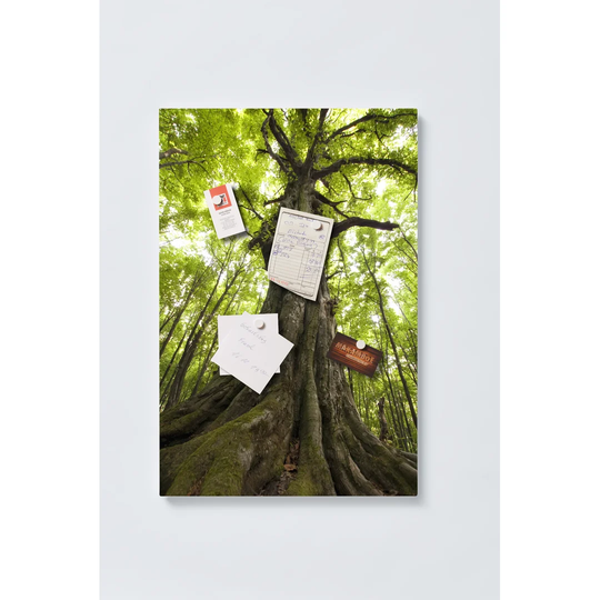 Tree Magnetic Wall Mounted Cork Board