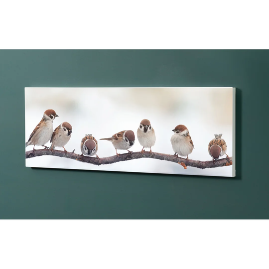 Notiz Motive Birds Magnetic Wall Mounted Cork Board