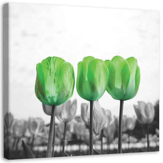 Canvas Print Flowers Green Tulips