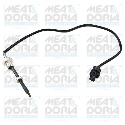Sensor, exhaust gas temperature 12442