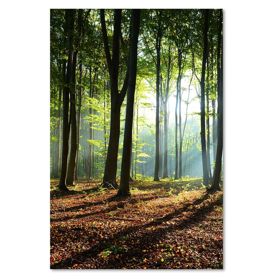 Canvas Print, Green Landscapes 16360