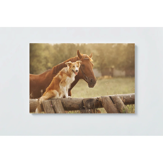 Horse and Magnetic Wall Mounted Cork Board