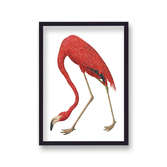 Vintage Pink Flamingo by Vouvart - Picture Frame Graphic Art