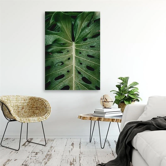 Canvas Print Monstera Leaves Tropics