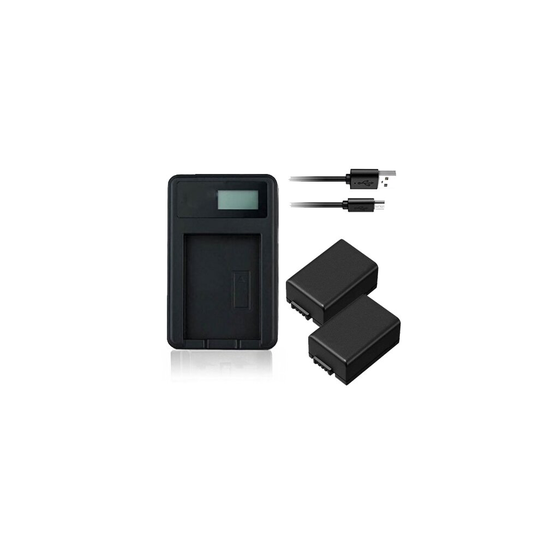 USB Battery Charger and 2 Batteries For Panasonic DC-FZ82 Camera
