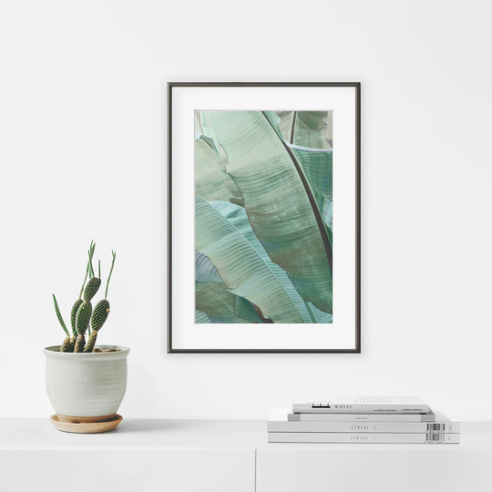 Greenery N°3 - Picture Frame Photograph Print on Paper