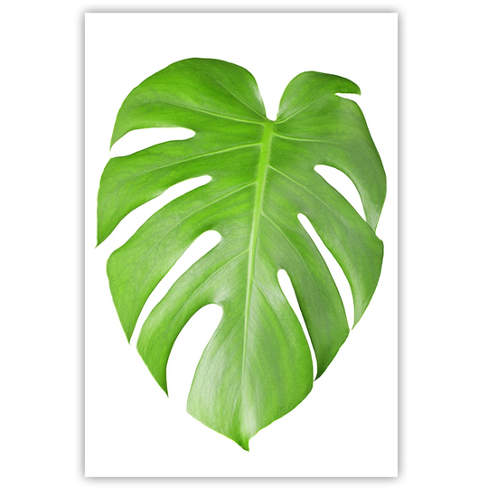 Canvas Print, Nature Green 16297