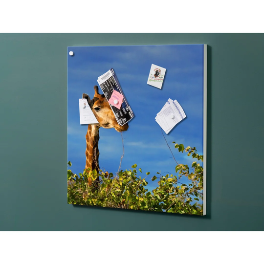 Notiz Motive Giraffe Magnetic Wall Mounted Cork Board