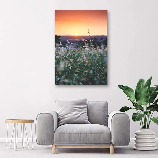 Canvas Print Meadow Sunset Nature