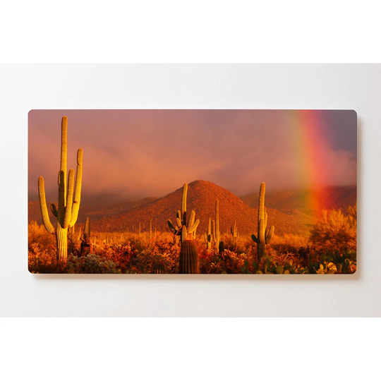 Backlight Motif Wall Picture Desert Cacti Magnetic Cork Board
