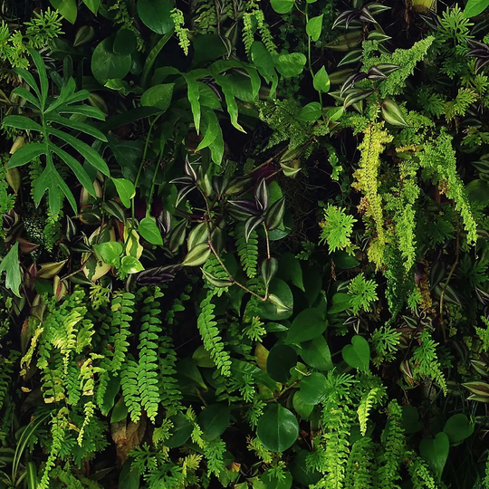 Belgravia Decor Kew Living Wall Green Wallpaper