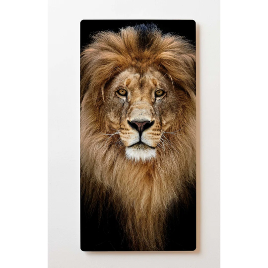 Wall art on the wall, M98, metal picture, 60 x 120cm, on a magnetic board