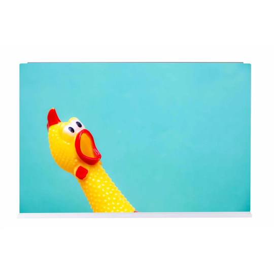 Chicken Magnetic Wall Mounted Photo Memo Board
