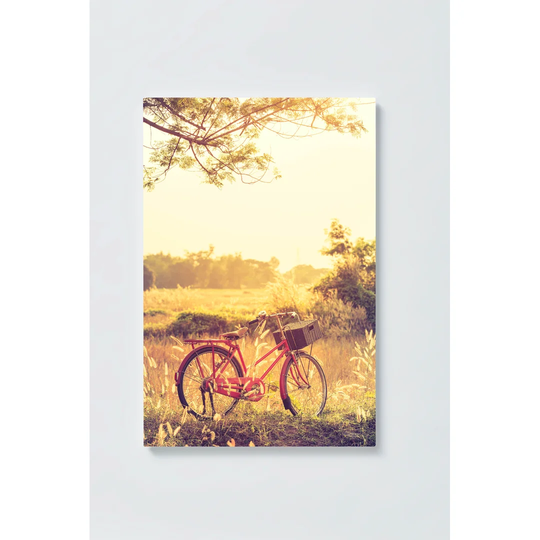 Bicycle Motif Magnetic Wall Mounted Cork Board