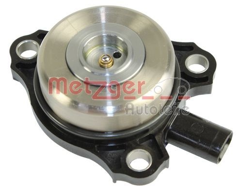 Central Magnet, camshaft adjustment 0899123